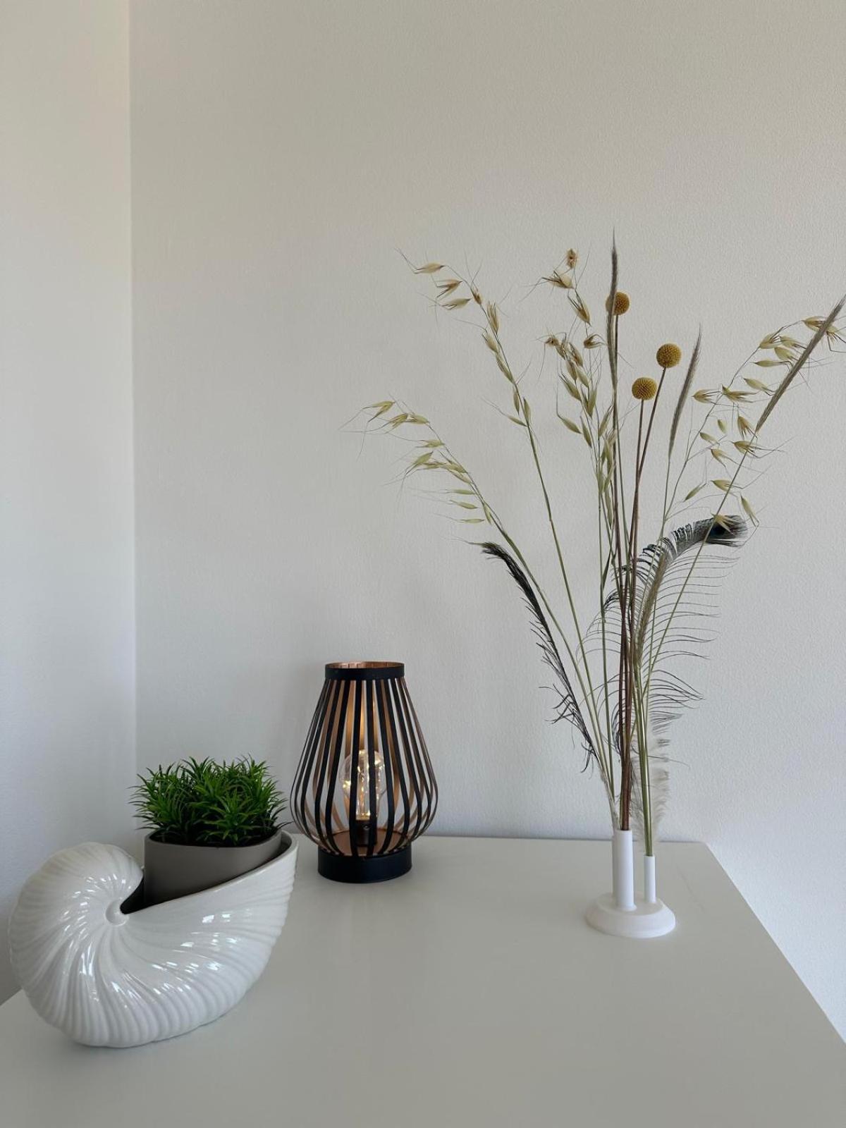 212Bellavista Apartments Neu Pomer Kroatien 外观 照片